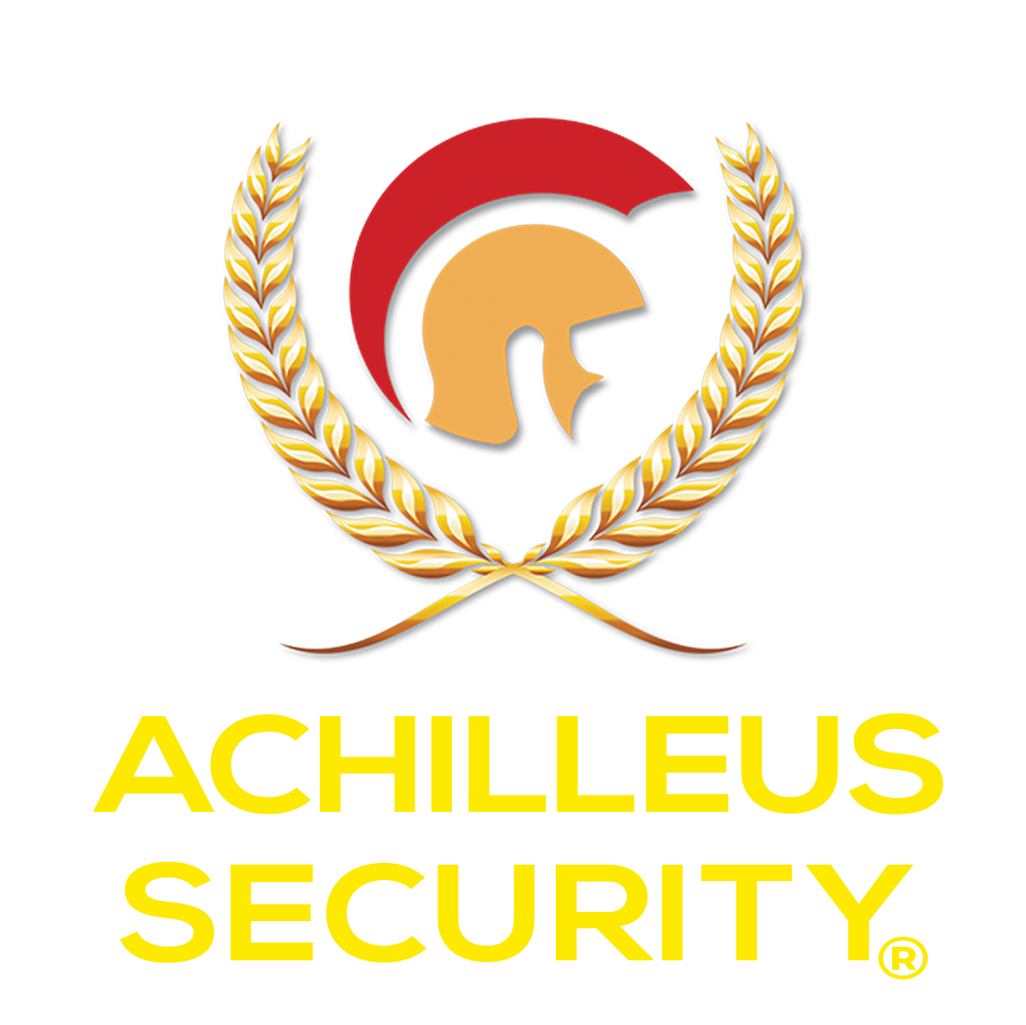 Achilleus Security