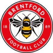 Chris - Safety and Security Planning Officer - Brentford Football Club